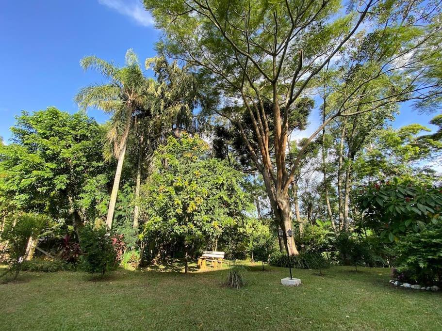 Loft Classe A Santa Cruz do Sul Dış mekan fotoğraf